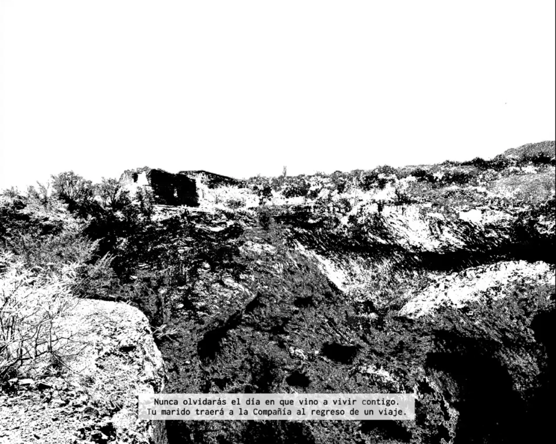 Charla de artista – Verónica Gerber Bicecci