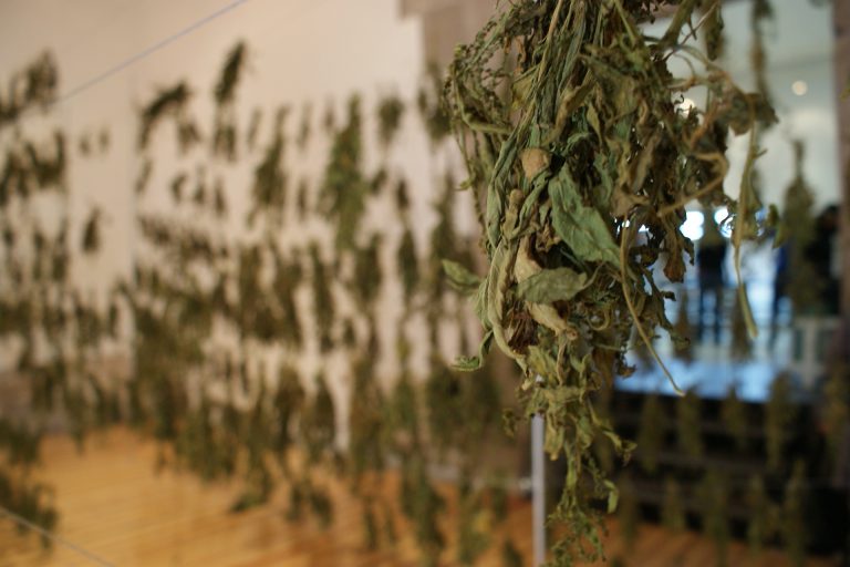 Charla de artista - Roberto de la Torre 1